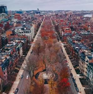 Meet your Posher, Salomoncito